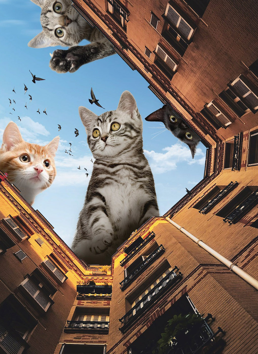 Surreal cats looking into an urban courtyard