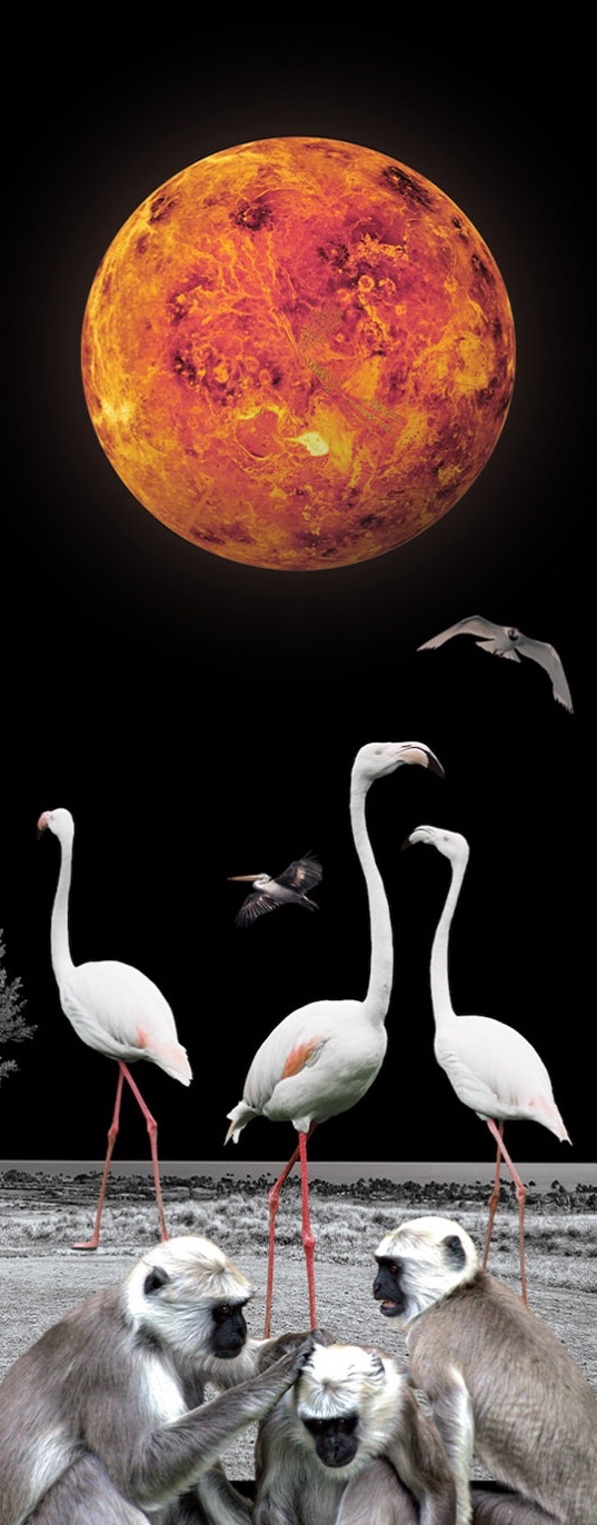 Surreal collage with flamingos, monkeys and a planet